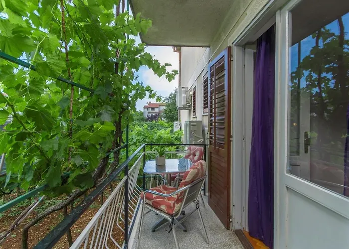 Complex Sauko 게스트하우스 포레치